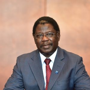 Senior Advisor - Professor Mutairu Ezimokhai | MBRU